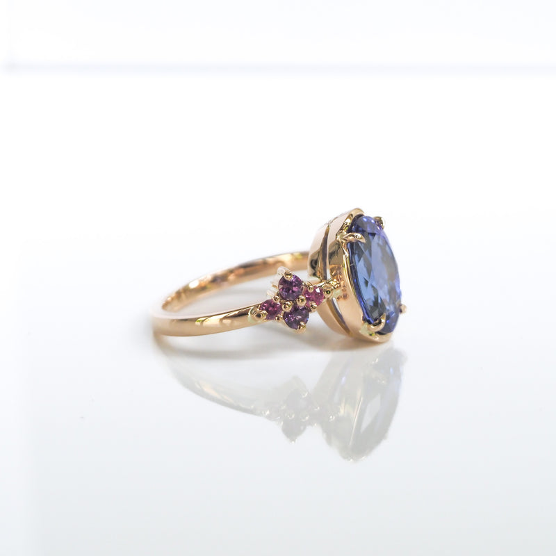 Whimsy Tanzanite and Sapphire ring